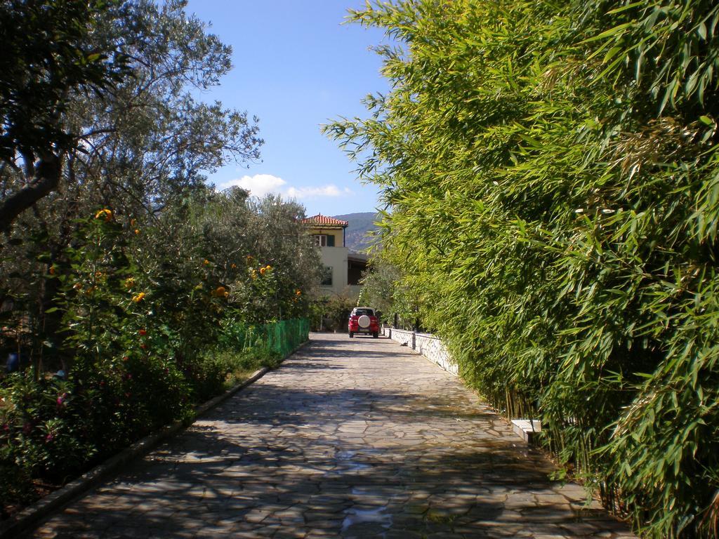 Vasiliki Studios Петра Екстериор снимка