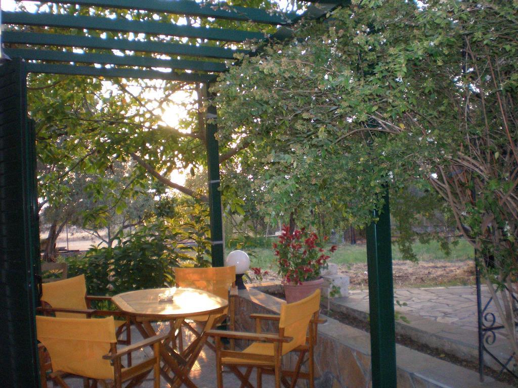 Vasiliki Studios Петра Стая снимка